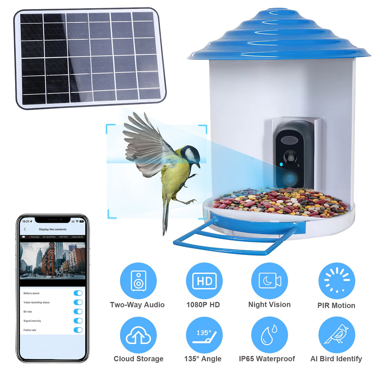 WrenView Solar Camera Bird Feeder