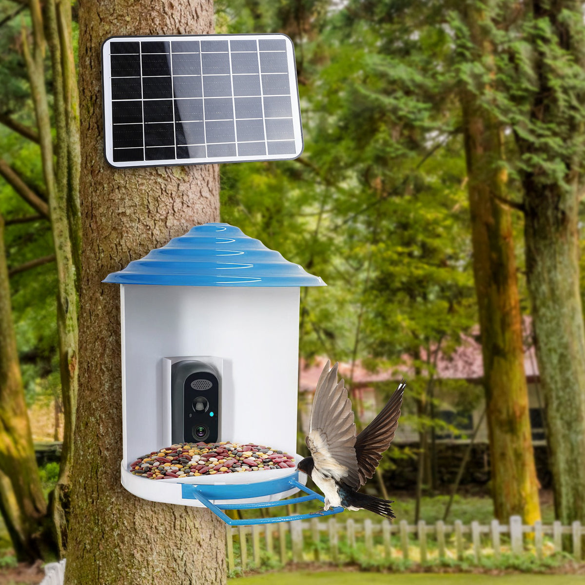 WrenView Solar Camera Bird Feeder